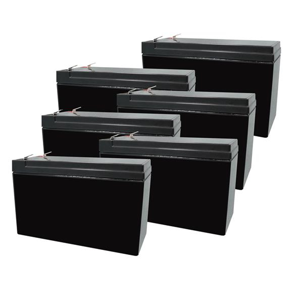 Eaton_5PX?3000iRT3U_Ersatz-Akkusatz_6×12V_9?Ah__AGM.jpg