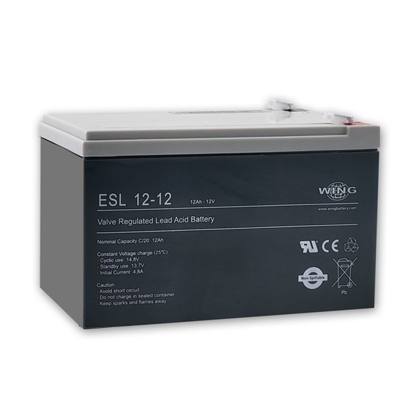 WING_ESL12_12_shop.jpg