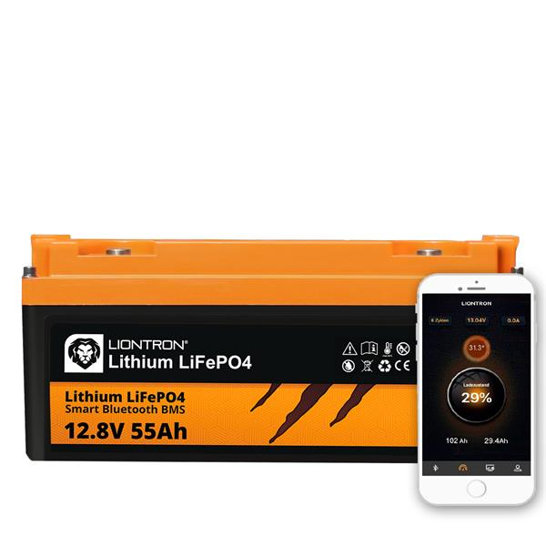 Liontron_12_55_shop_1.jpg