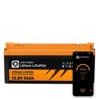 Liontron_12_55_shop.jpg Liontron_12_55_shop.jpg