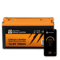 Liontron_12_100_shop.jpg Liontron_12_100_shop.jpg