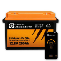 Liontron_12_200_shop.jpg Liontron_12_200_shop.jpg